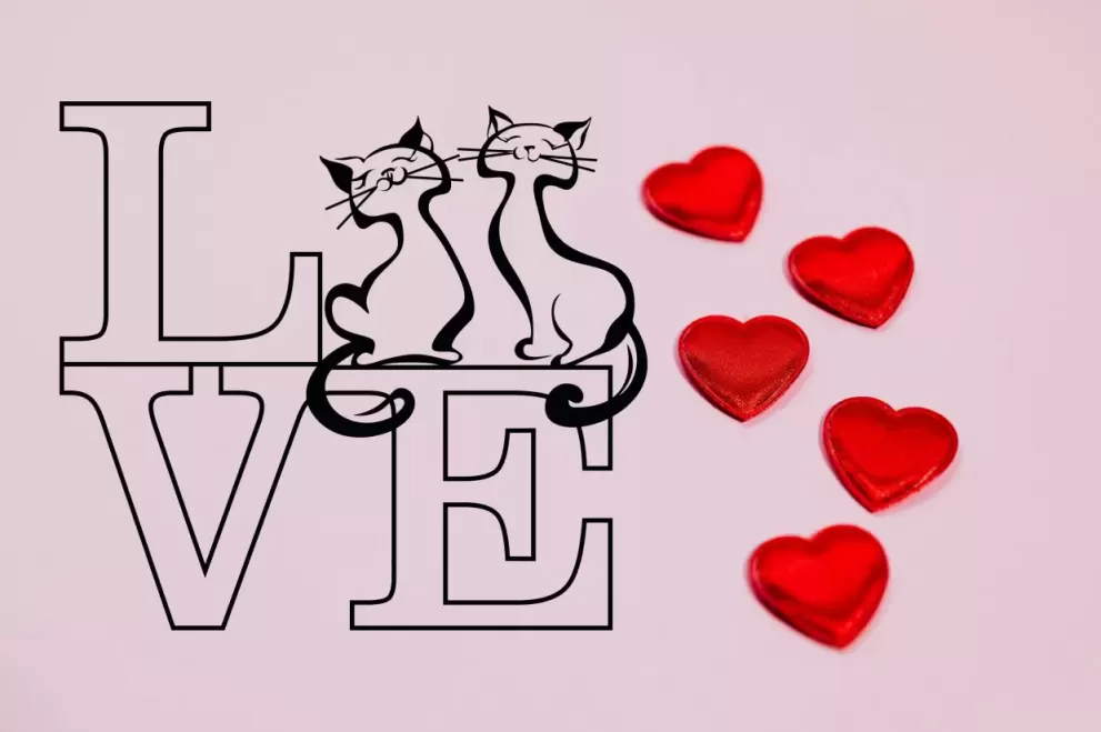 Inscriptie metal Love cu doua pisicute - limba engleza