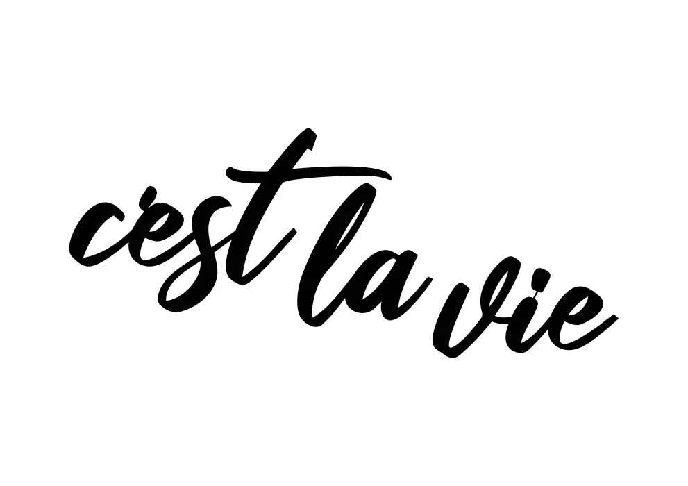 Inscriptie metal C'est la vie - limba franceza