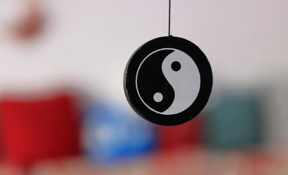 YIN-YANG